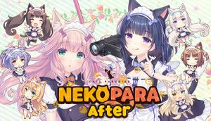 Nekopara After Poster.jpg